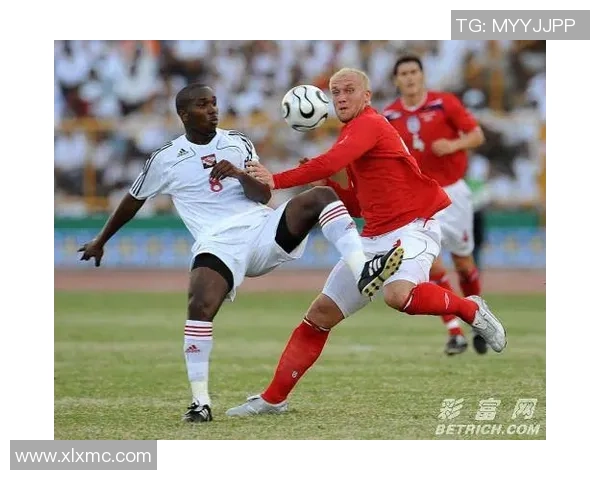 北京羽毛球队在欧锦赛中的技术表现分析与点评