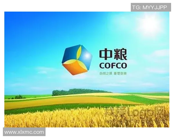 陈增进足球的成长之路与未来发展展望分析